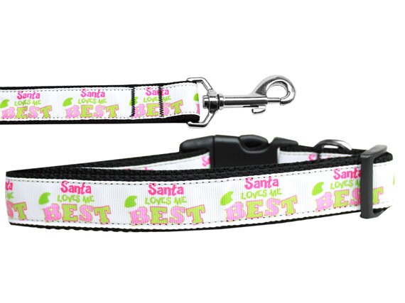 Christmas Pet Dog & Cat Nylon Collar or Leash, "Santa Loves Me Best"