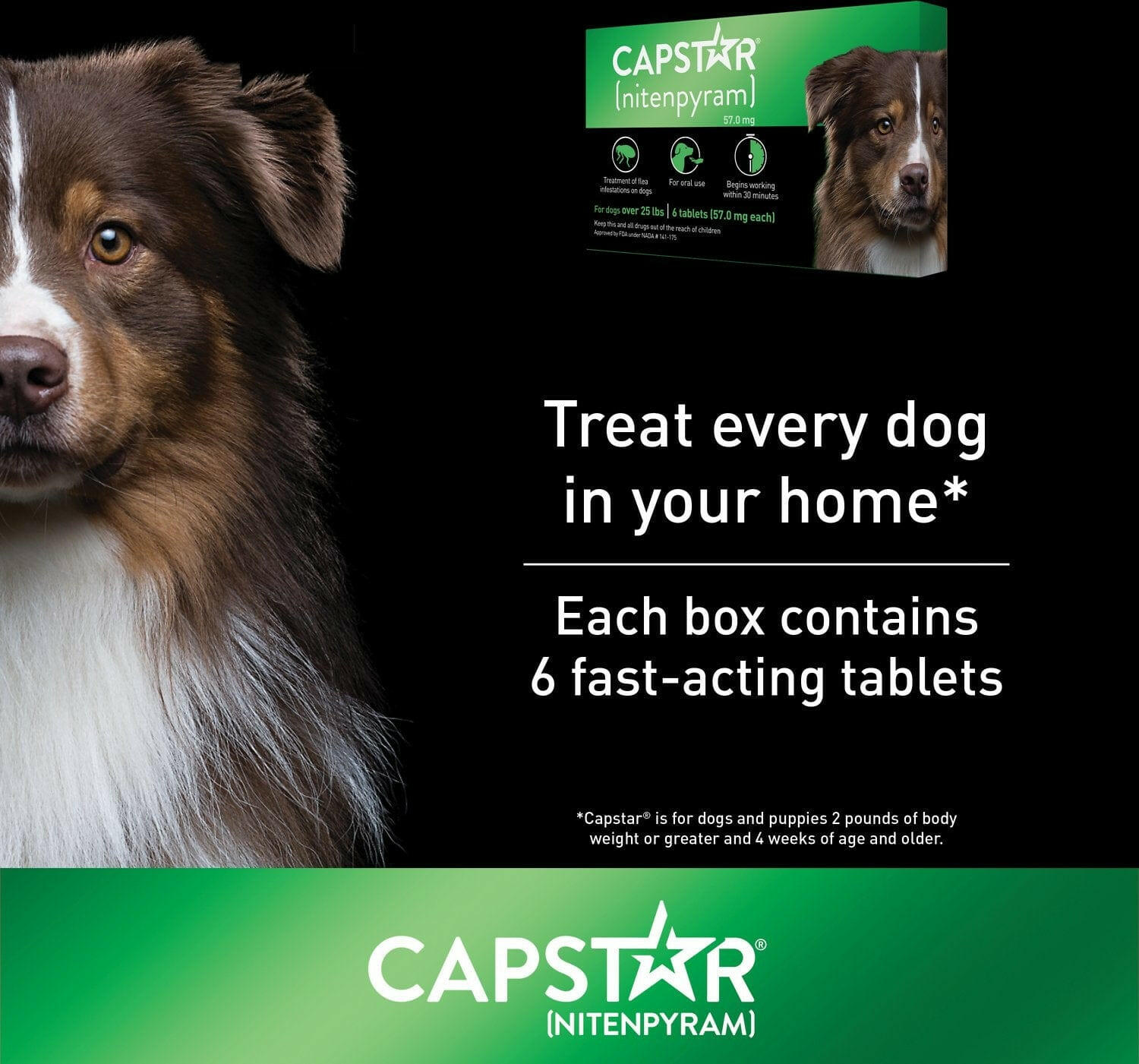 Capstar Oral Flea Treatment for Dogs over 25 lbs (6 Doses)