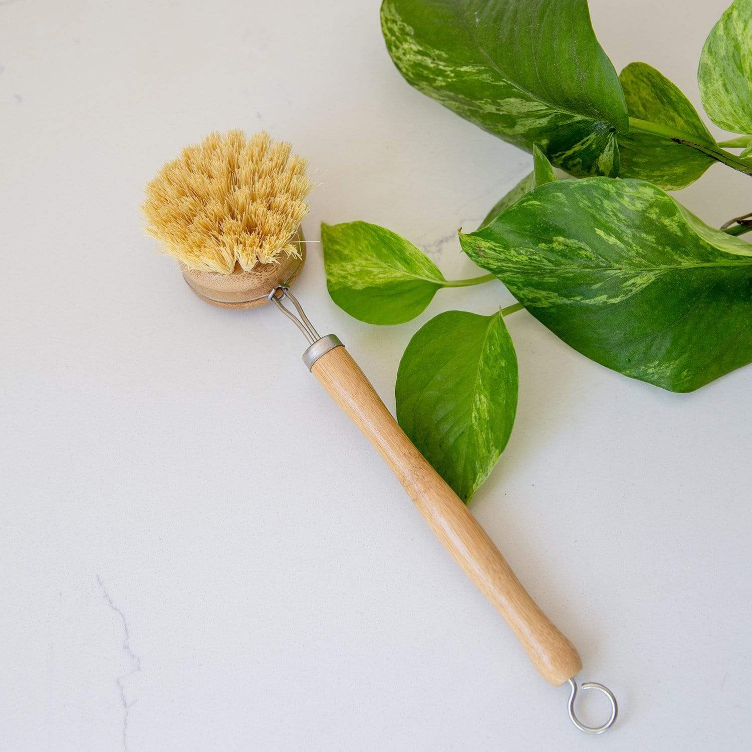 Long Handle Dish Brush - Agave Dish Brush, Plastic Free, Replaceable Heads