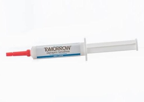 ToMorrow Mastitis Treatment -  Syringes for Dry Cow