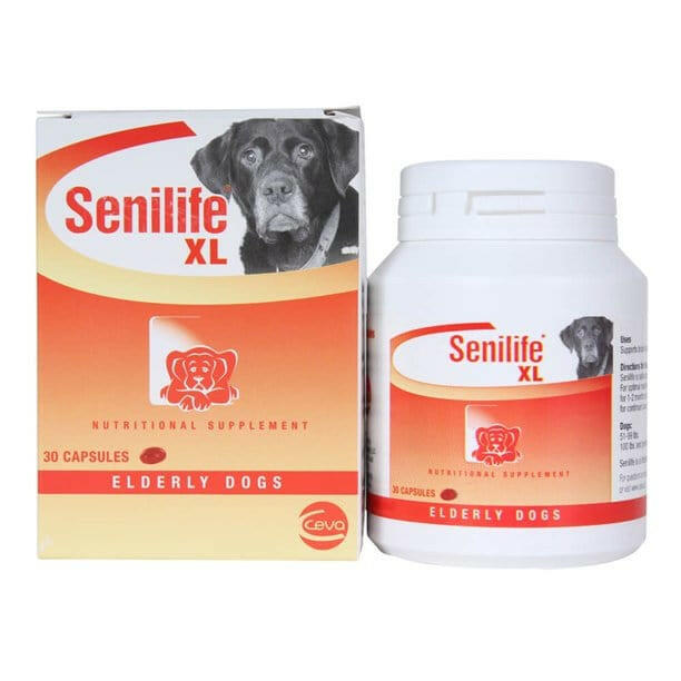 Senilife XL for Elderly Dogs