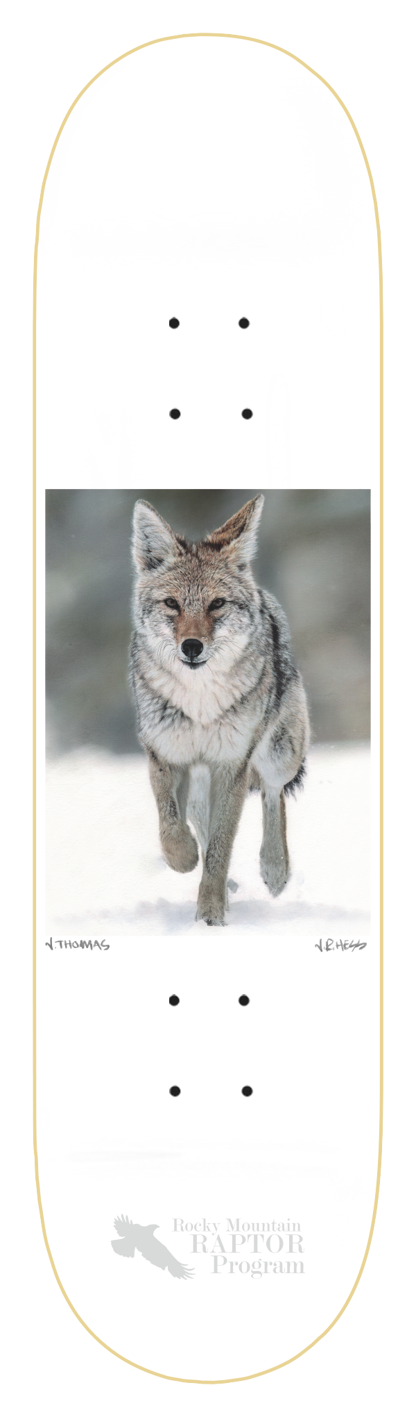 ZERO THOMAS COYOTE 8.5" SKATEBOARD DECK